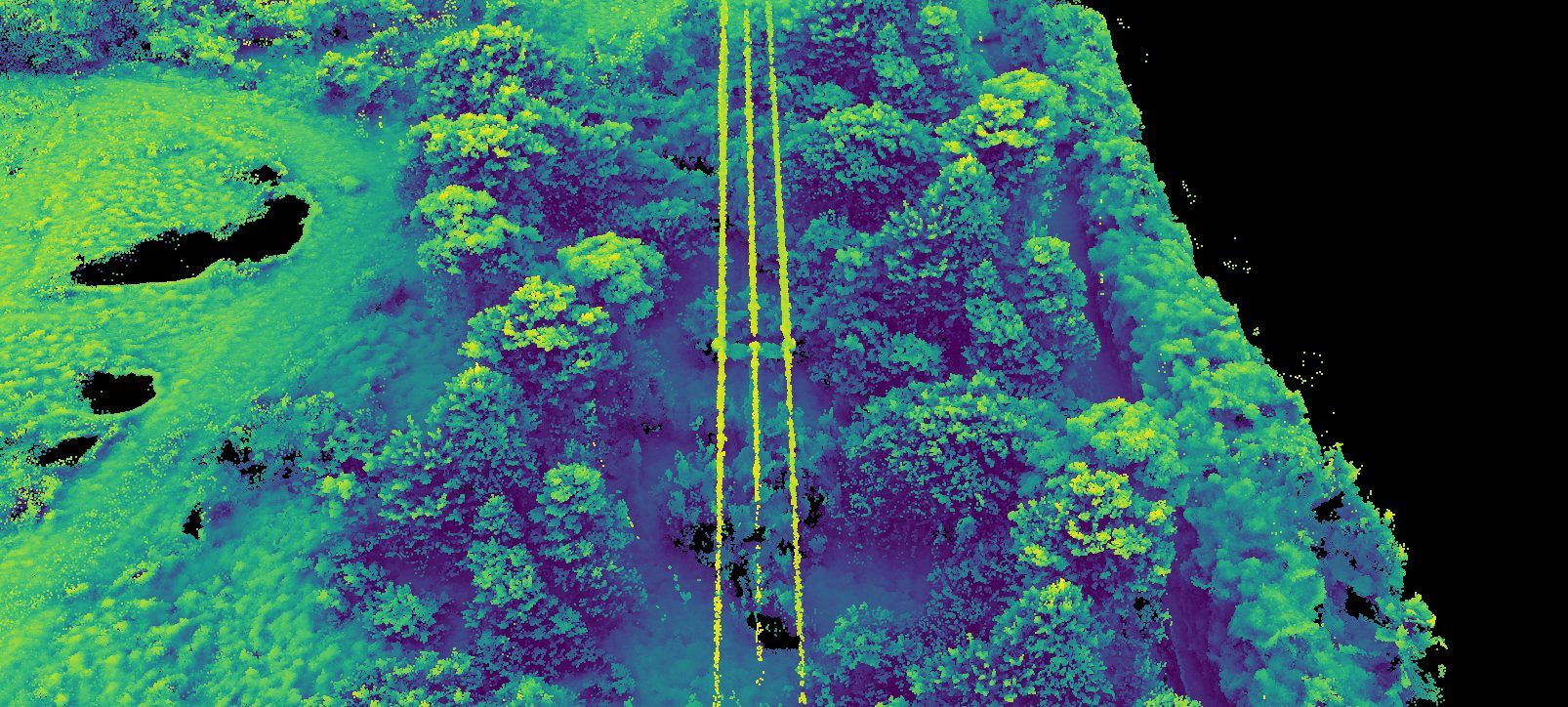 LiDAR point cloud of a power line corridor through woodland